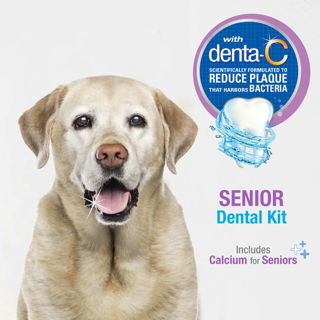 Nylabone Advanced Oral Care Senior Dog Dental Kit