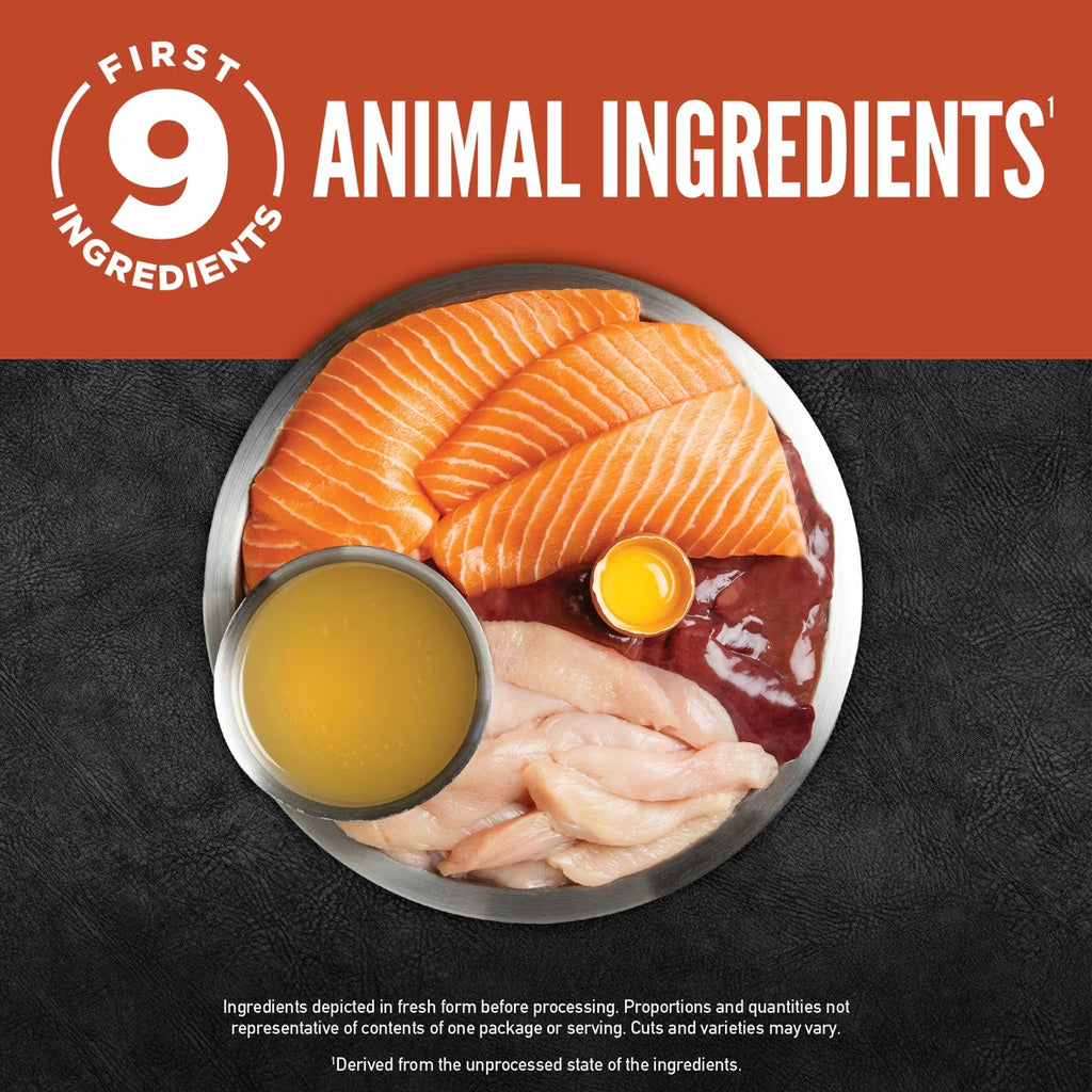 ORIJEN Chunks & Shreds Entrée in Bone Broth Wet Cat Food