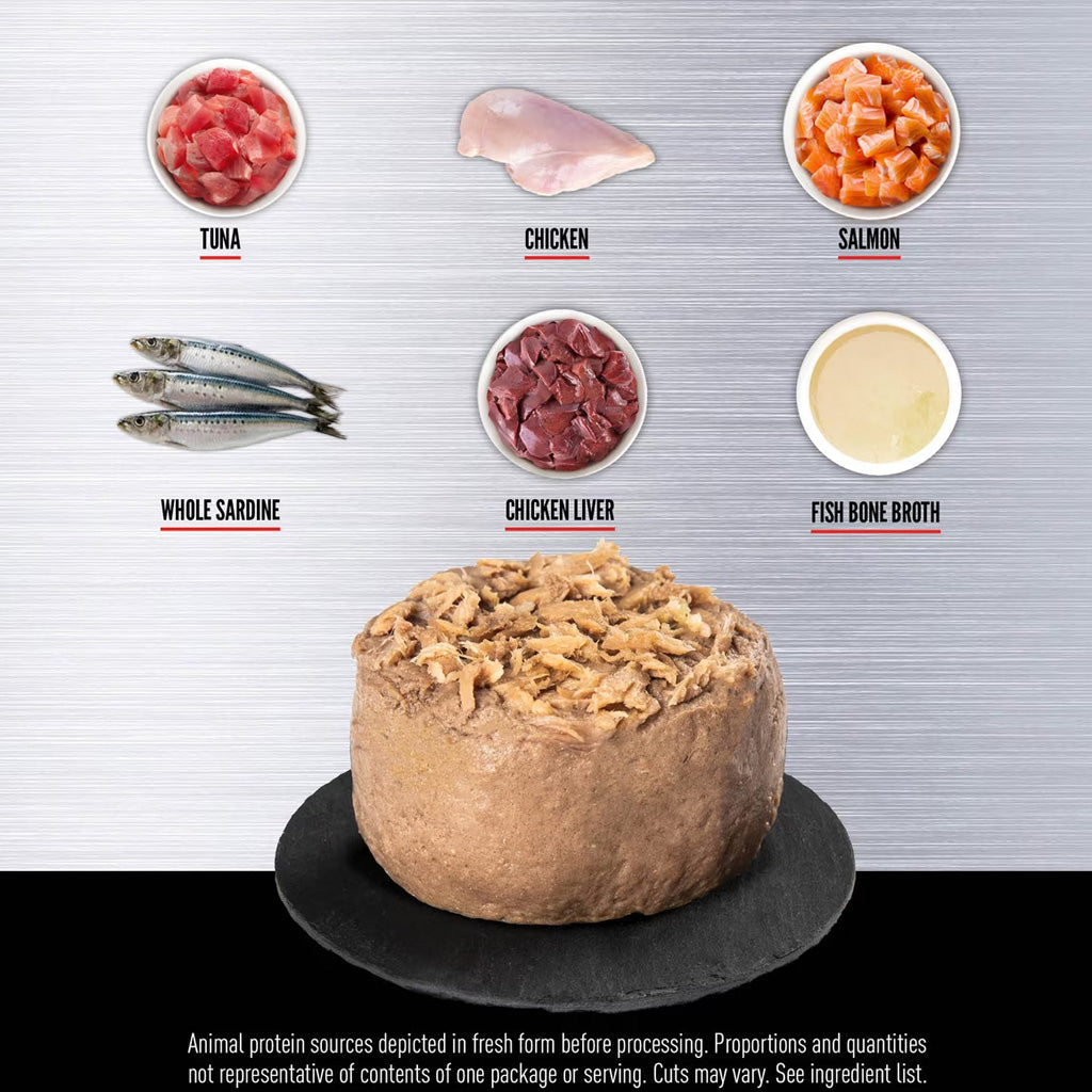 ORIJEN Premium Cat Food in Bone Broth Pate