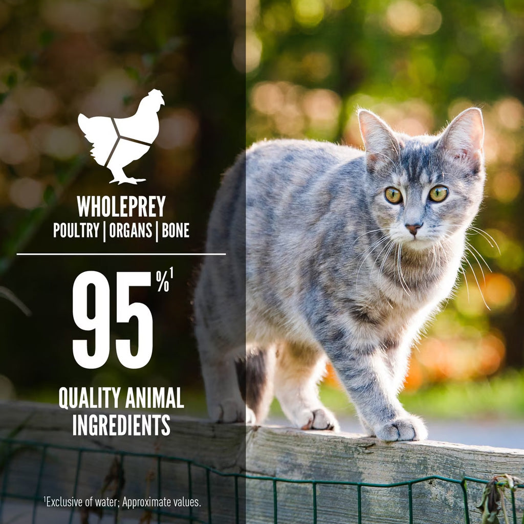 ORIJEN Premium Cat Food in Bone Broth Pate