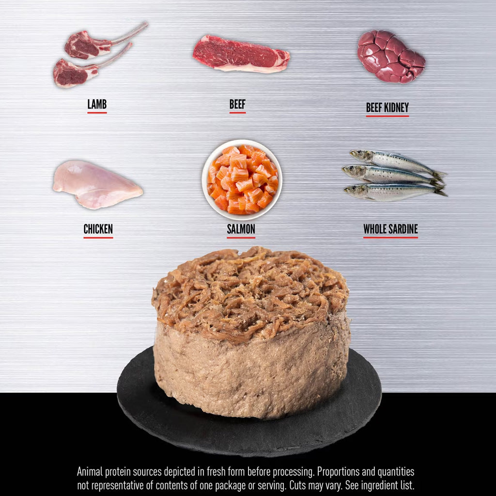 ORIJEN Premium Cat Food in Bone Broth Pate