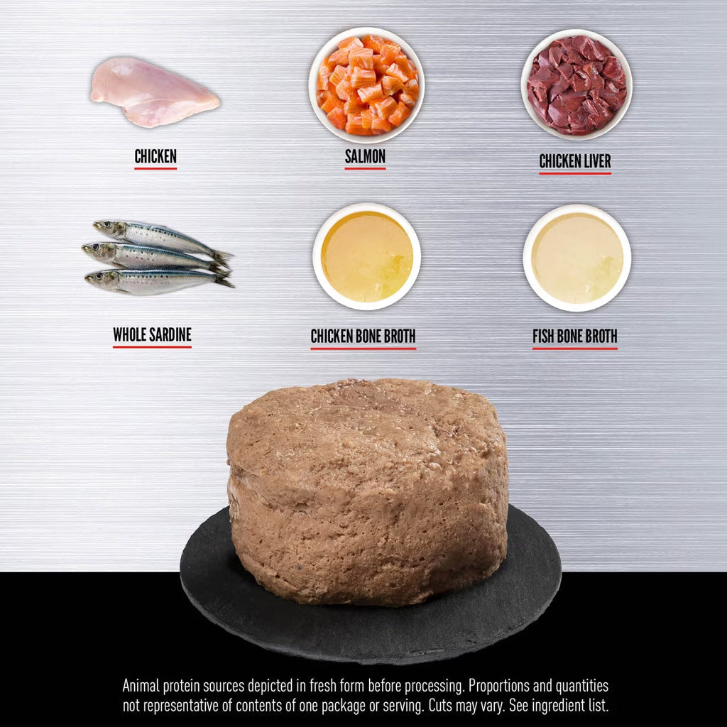 ORIJEN Premium Chicken & Salmon Kitten & Cat Food in Bone Broth Pate