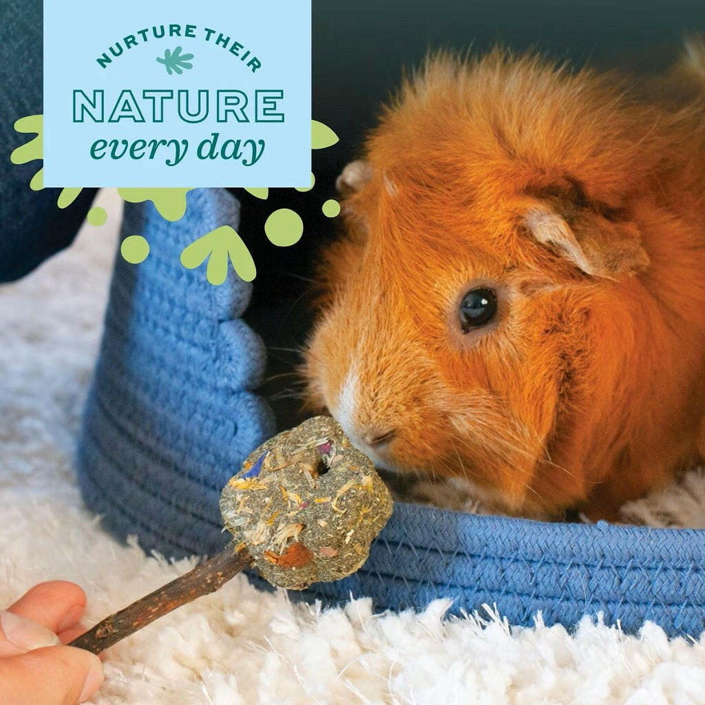 Oxbow Animal Health Enriched Life Crazy Hay Ball Small Animal Toy