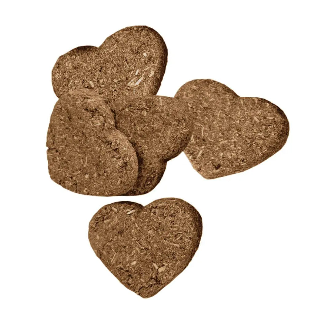 Oxbow Simple Rewards Baked Small Animal Treats with Apple & Banana (3 oz)
