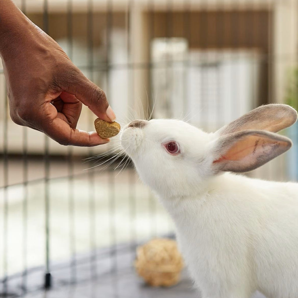 Oxbow Simple Rewards Baked Small Animal Treats with Apple & Banana (3 oz)