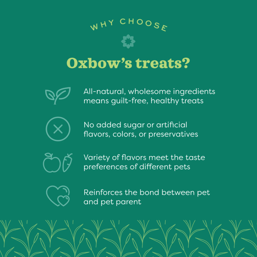Oxbow Simple Rewards Baked Small Animal Treats with Apple & Banana (3 oz)