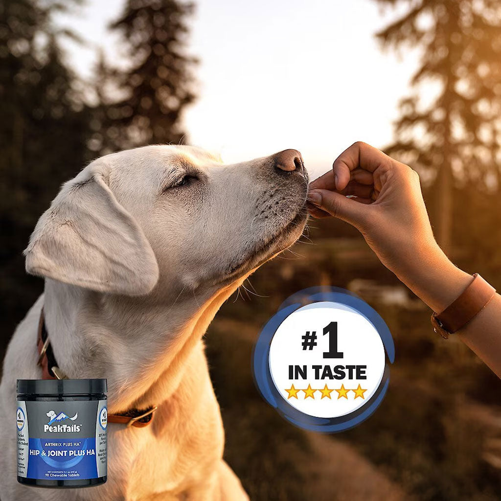 PeakTails Hip & Joint Plus HA for Dogs