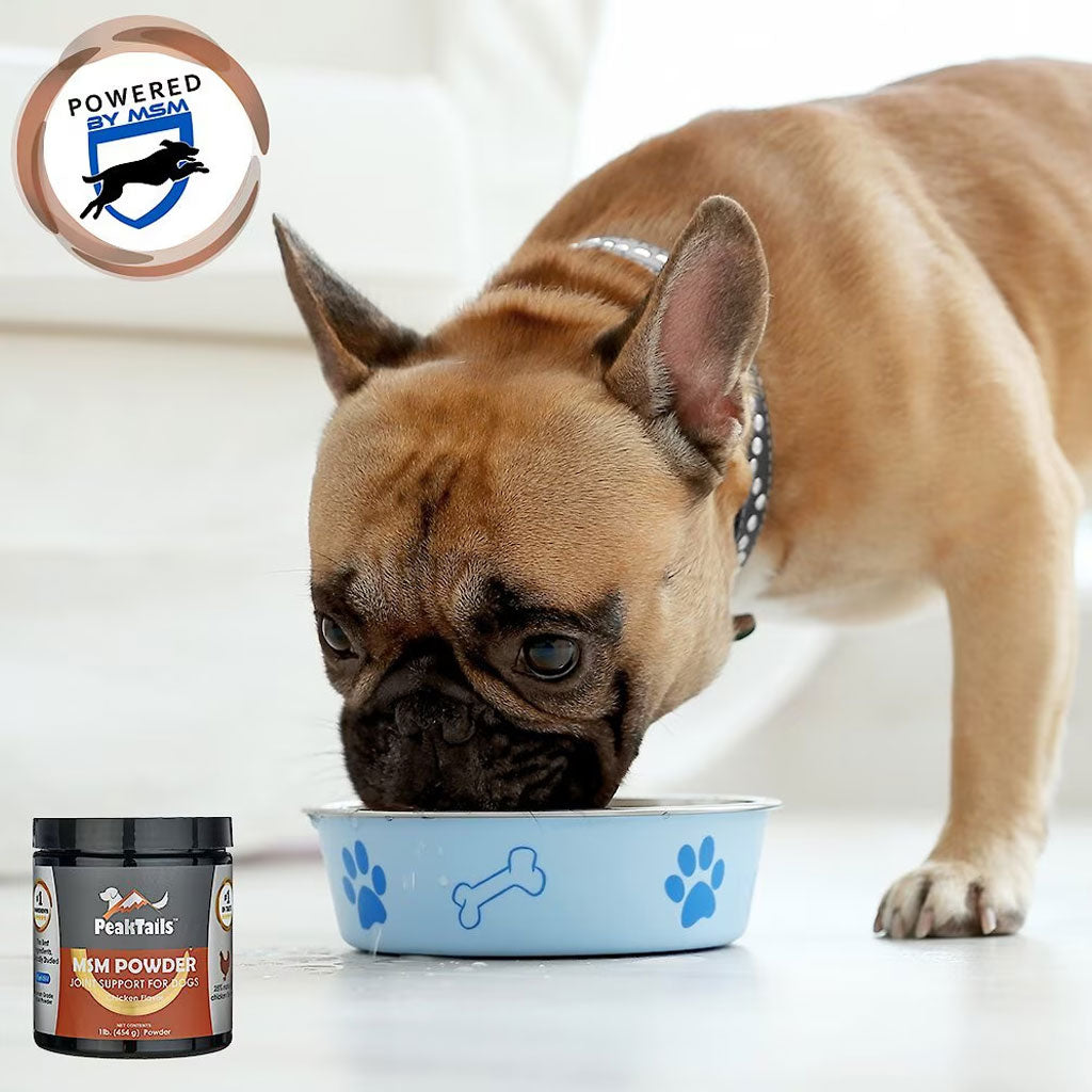 PeakTails Joint Support For Dogs MSM Powder Chicken Flavor, 1-lb