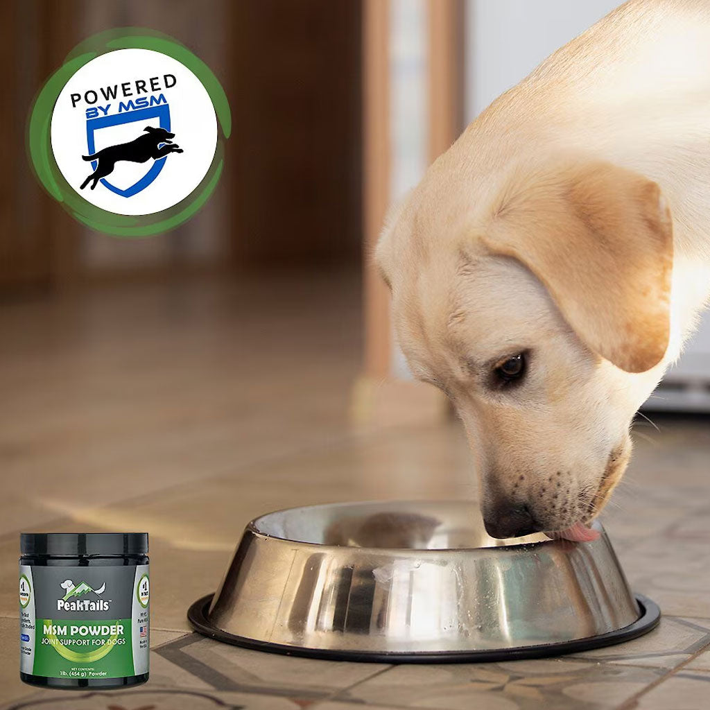PeakTails Joint Support For Dogs MSM Powder Unflavored, 1-lb