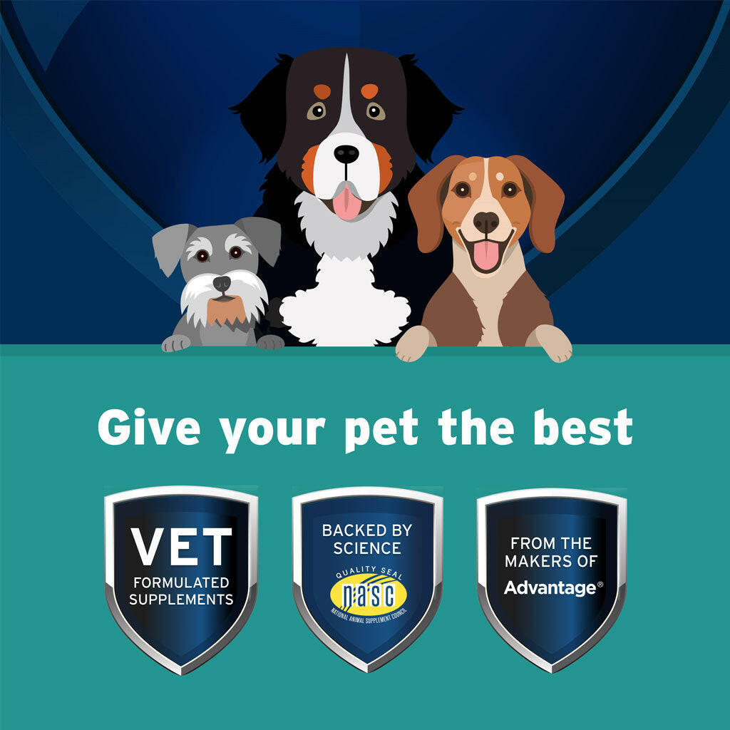 Pet Protect Body Comfort Plus Alenza for Dogs