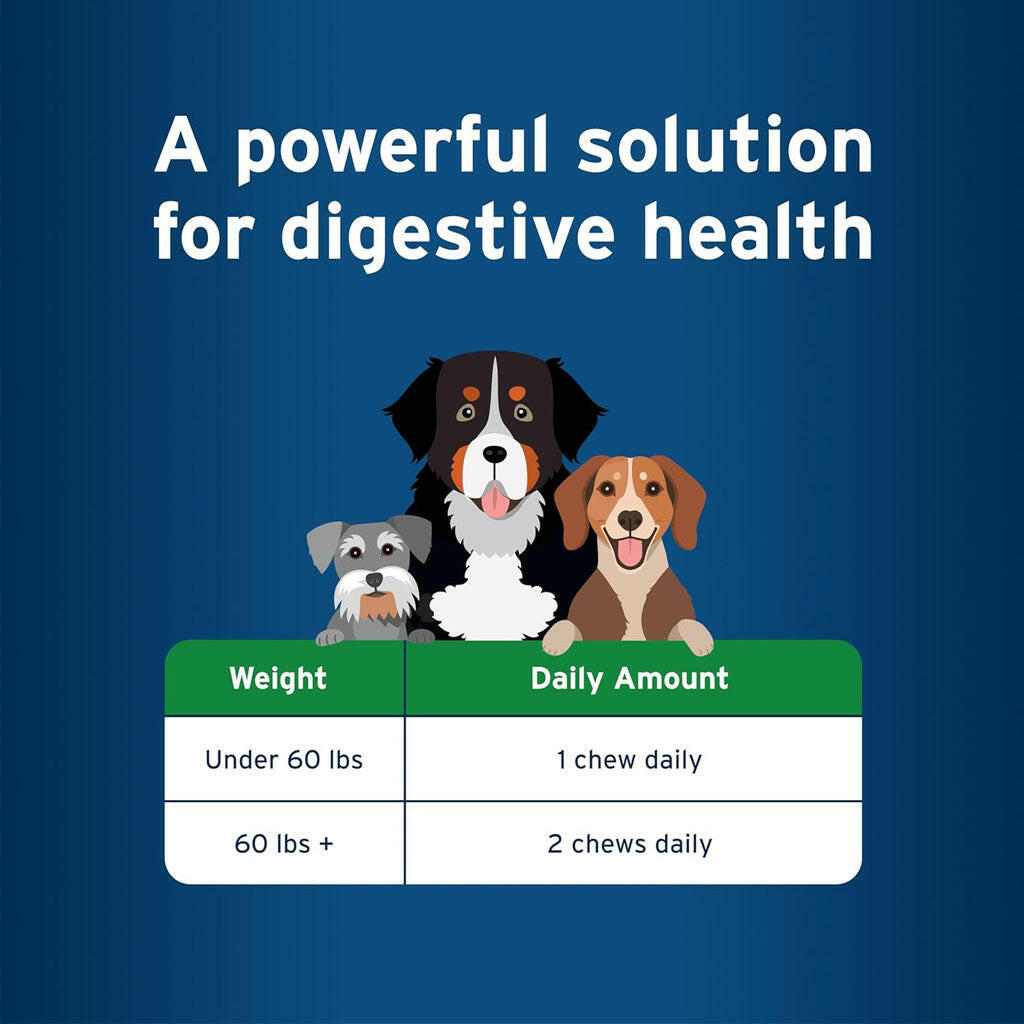 Pet Protect Digestive Health Lactoquil for Dogs, Chicken Flavor, 60 Soft Chews