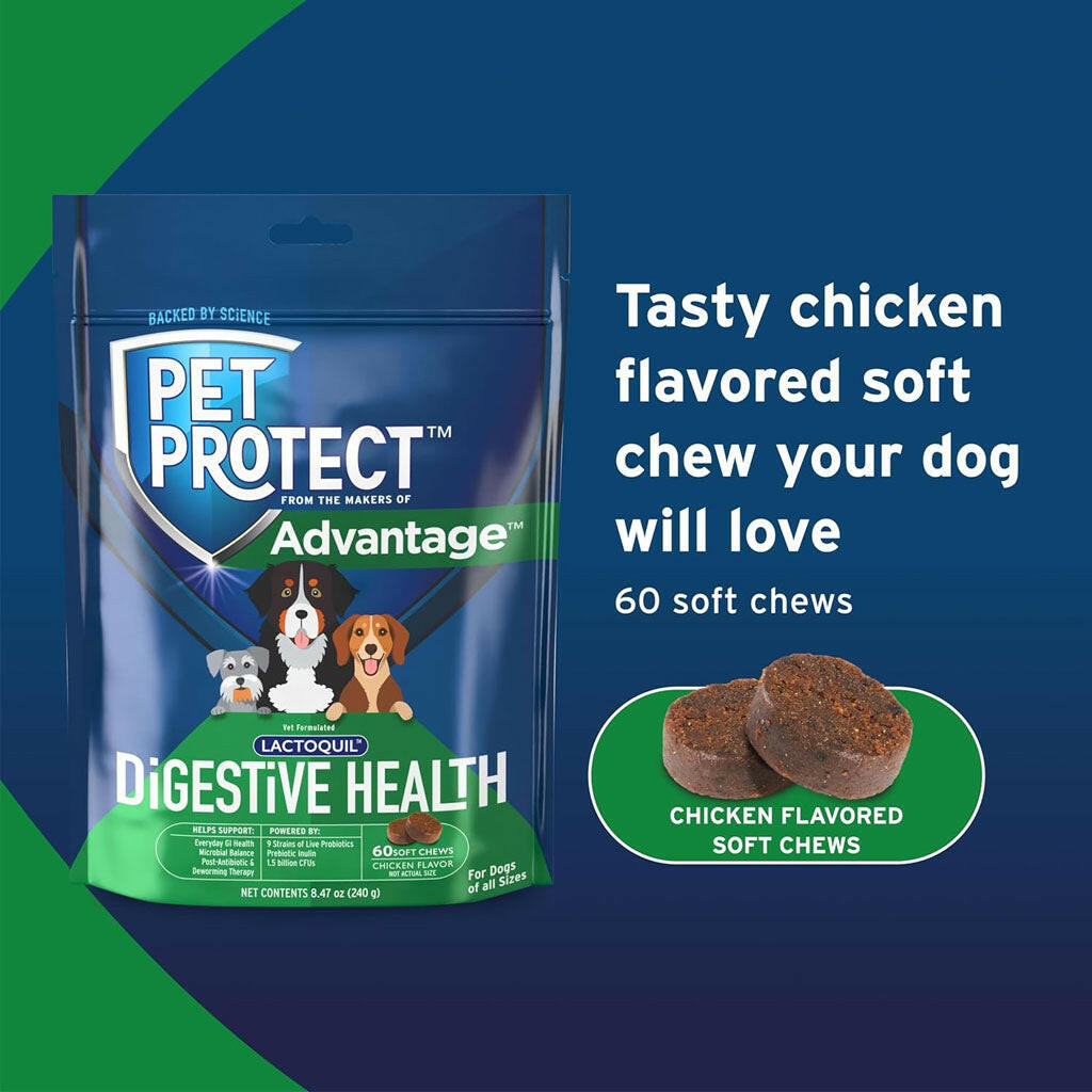 Pet Protect Digestive Health Lactoquil for Dogs, Chicken Flavor, 60 Soft Chews
