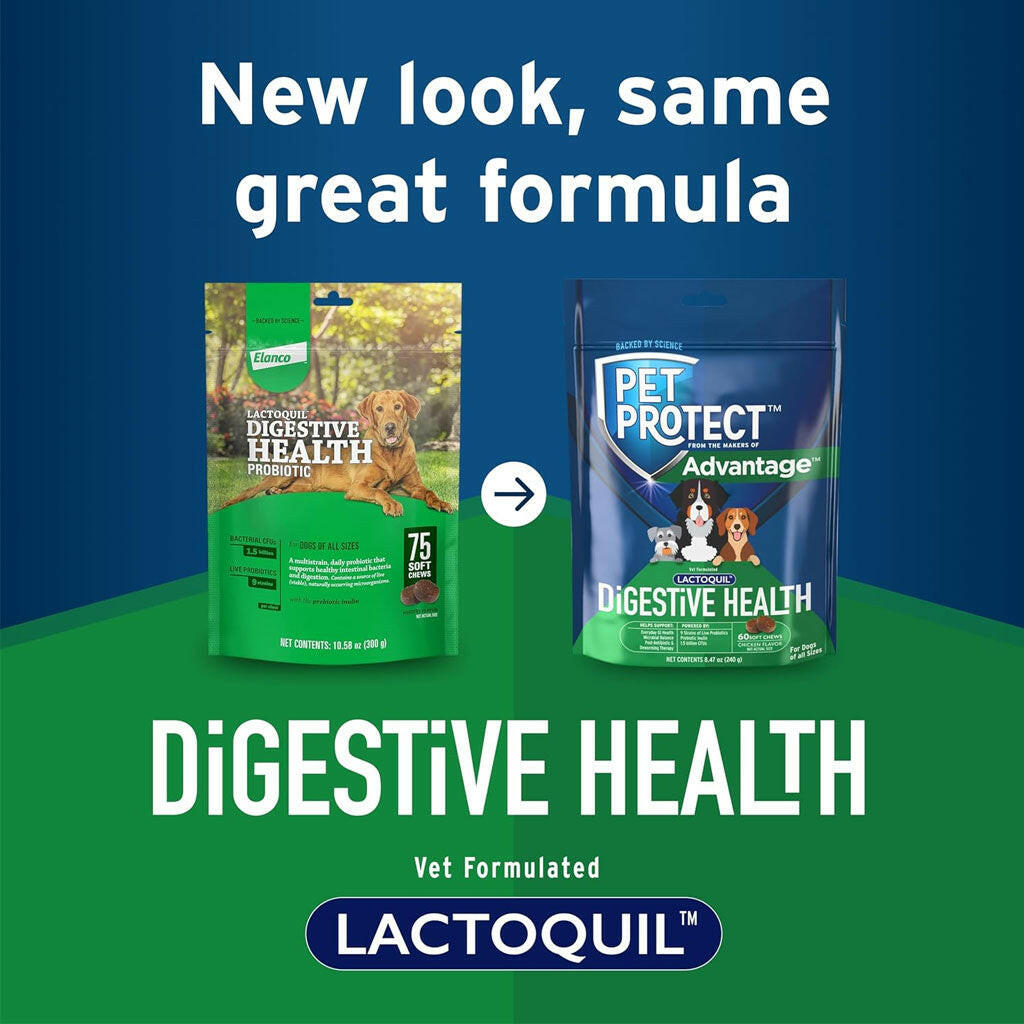 Pet Protect Digestive Health Lactoquil for Dogs, Chicken Flavor, 60 Soft Chews