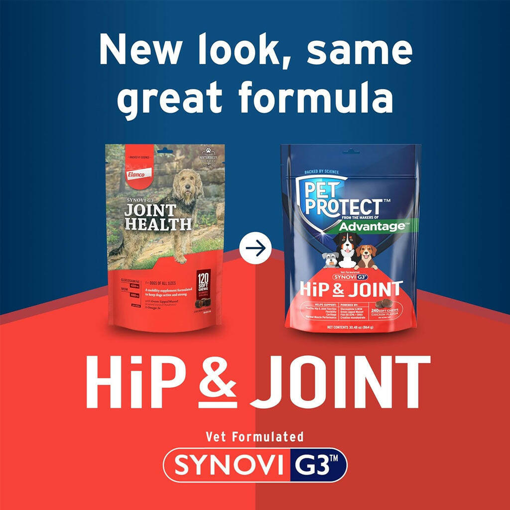 Pet Protect Hip & Joint Synovi G3 for Dogs, Chicken Flavor