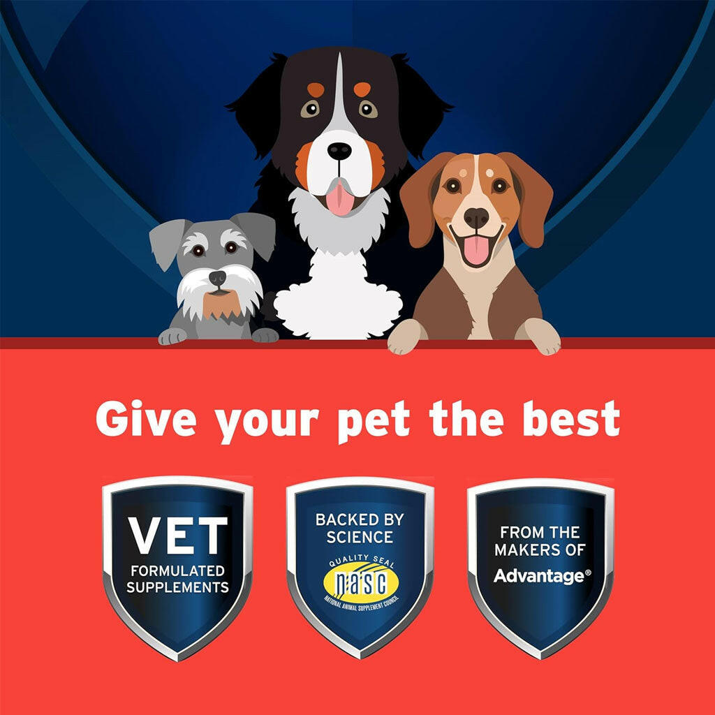 Pet Protect Hip & Joint Synovi G3 for Dogs, Chicken Flavor