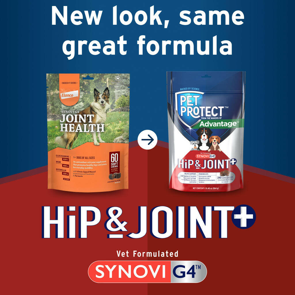 Pet Protect Hip & Joint Synovi G4 for Dogs, Chicken Flavor