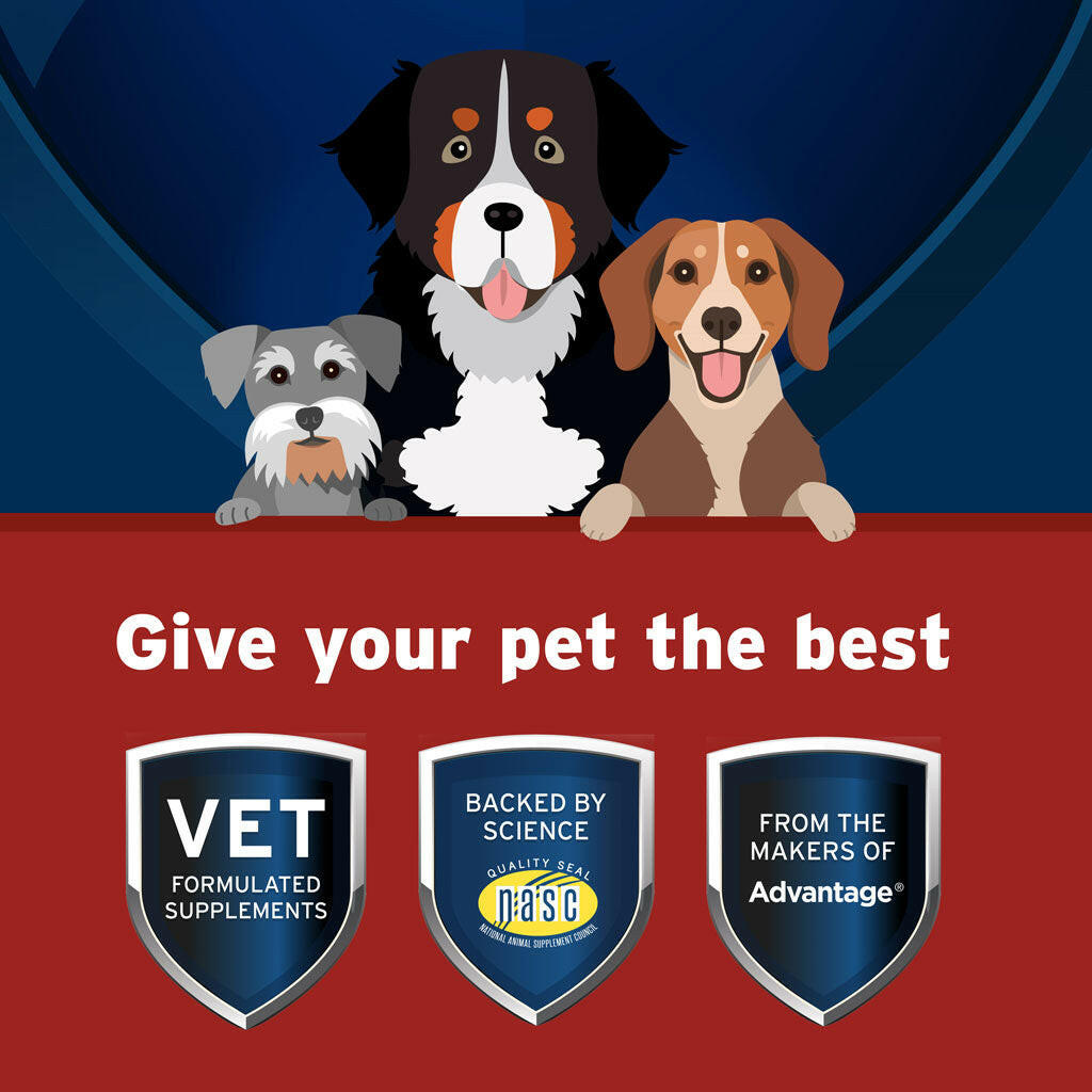Pet Protect Hip & Joint Synovi G4 for Dogs, Chicken Flavor