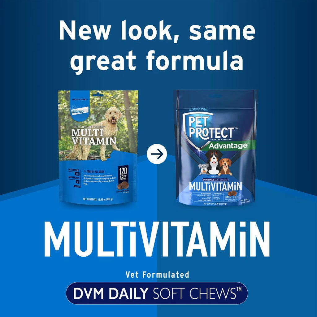 Pet Protect Multivitamin DVM Daily Soft Chews for Dogs, Chicken Flavor