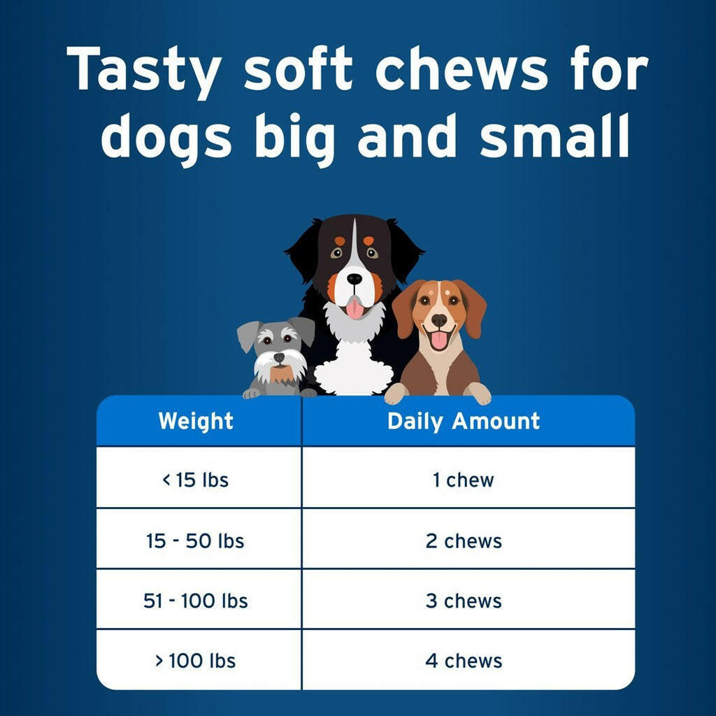 Pet Protect Multivitamin DVM Daily Soft Chews for Dogs, Chicken Flavor