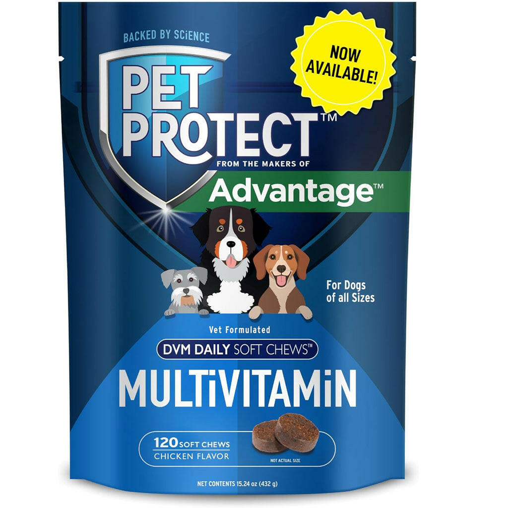 Pet Protect Multivitamin DVM Daily Soft Chews for Dogs, Chicken Flavor