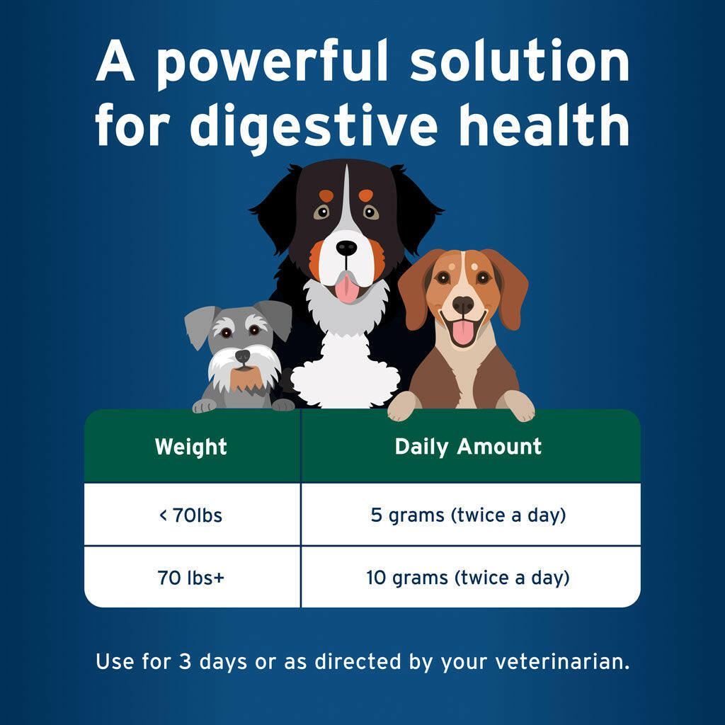Pet Protect Probiotic Balance Plus Oral Gel Endurosyn for Dogs, Chicken Flavor, 32g