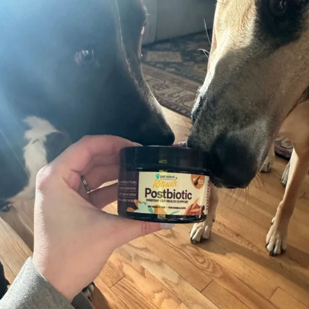 Pet Releaf Rituals Postbiotic Gut Health Support for Dogs & Cats, 2-oz