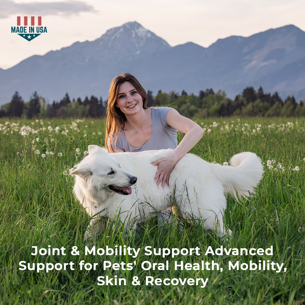 Pet Scholars 1-TDC Dental and Joint Health Softgel Supplement for Dogs and Cats