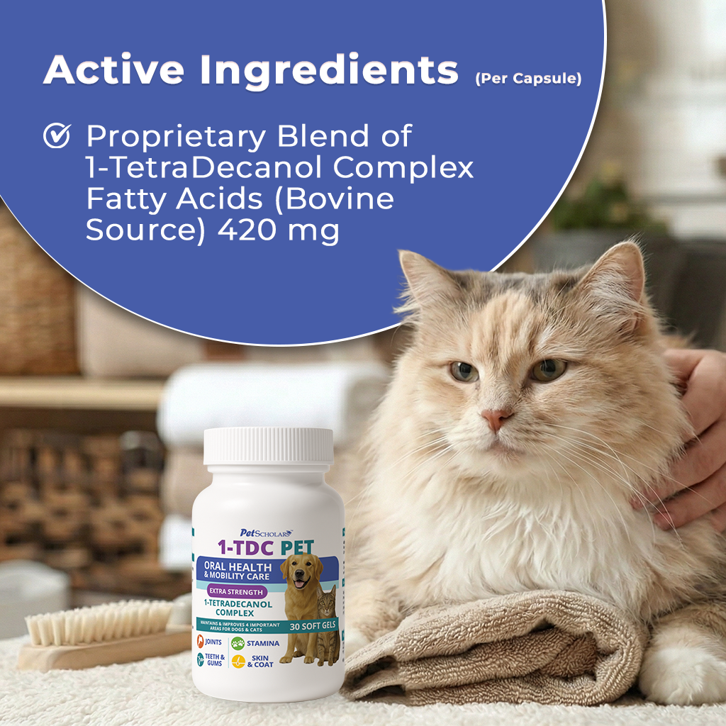 Pet Scholars 1-TDC Dental and Joint Health Softgel Supplement for Dogs and Cats