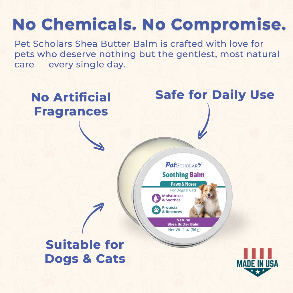 Pet Scholars Soothing Natural Shea Butter Balm for Dogs & Cats