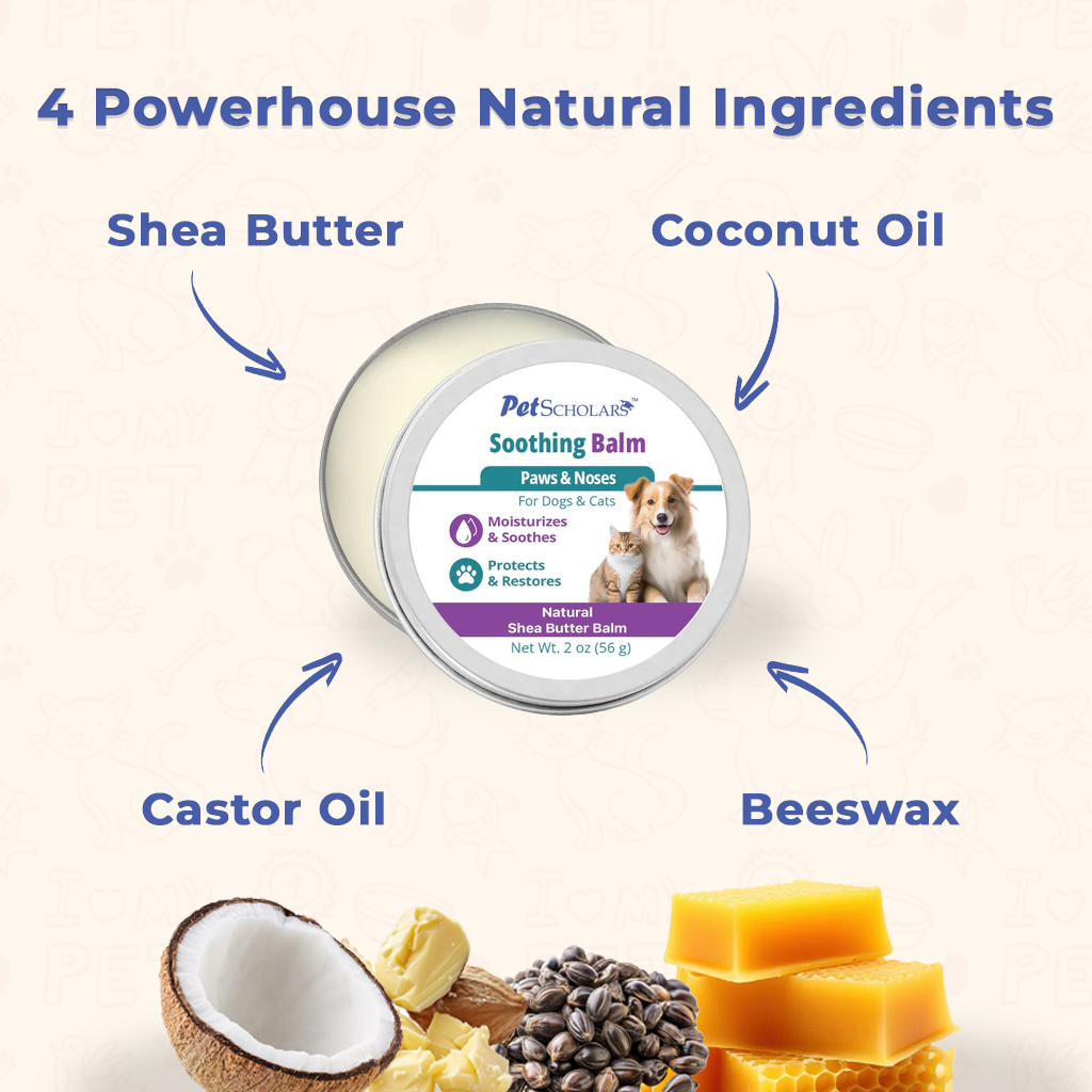 Pet Scholars Soothing Natural Shea Butter Balm for Dogs & Cats