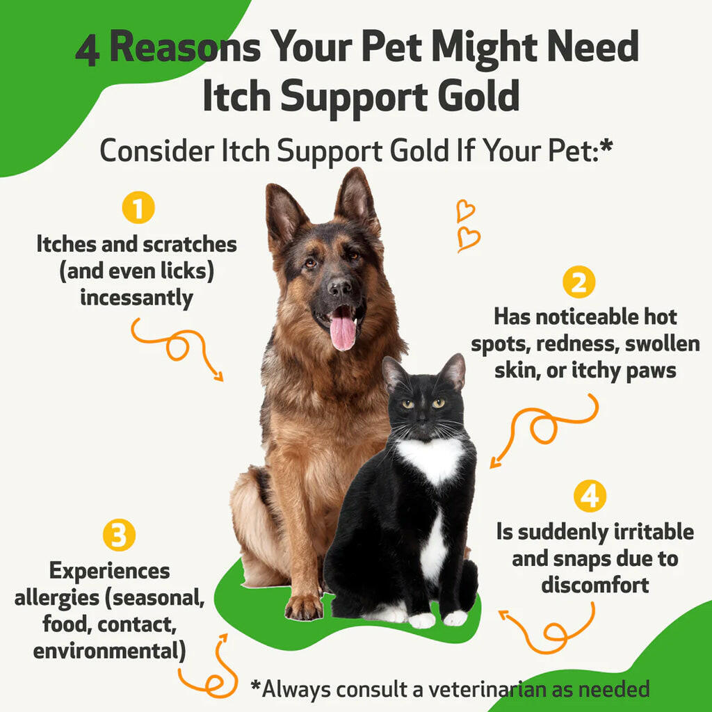 Pet Wellbeing Itch Support Gold - For Allergy-Related Itch in Dogs