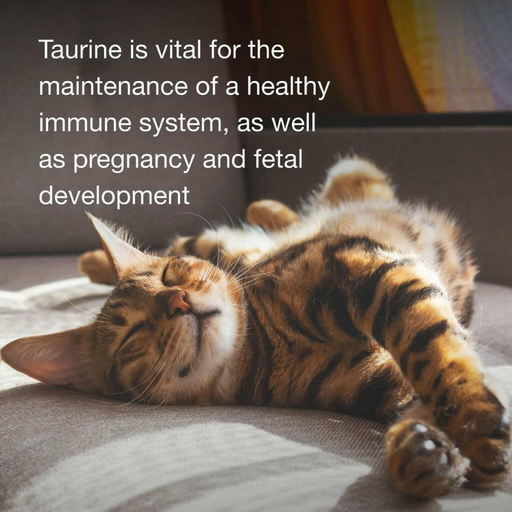 PetAg Taurine Chewable Tablet Supplement for Cats (100 count)