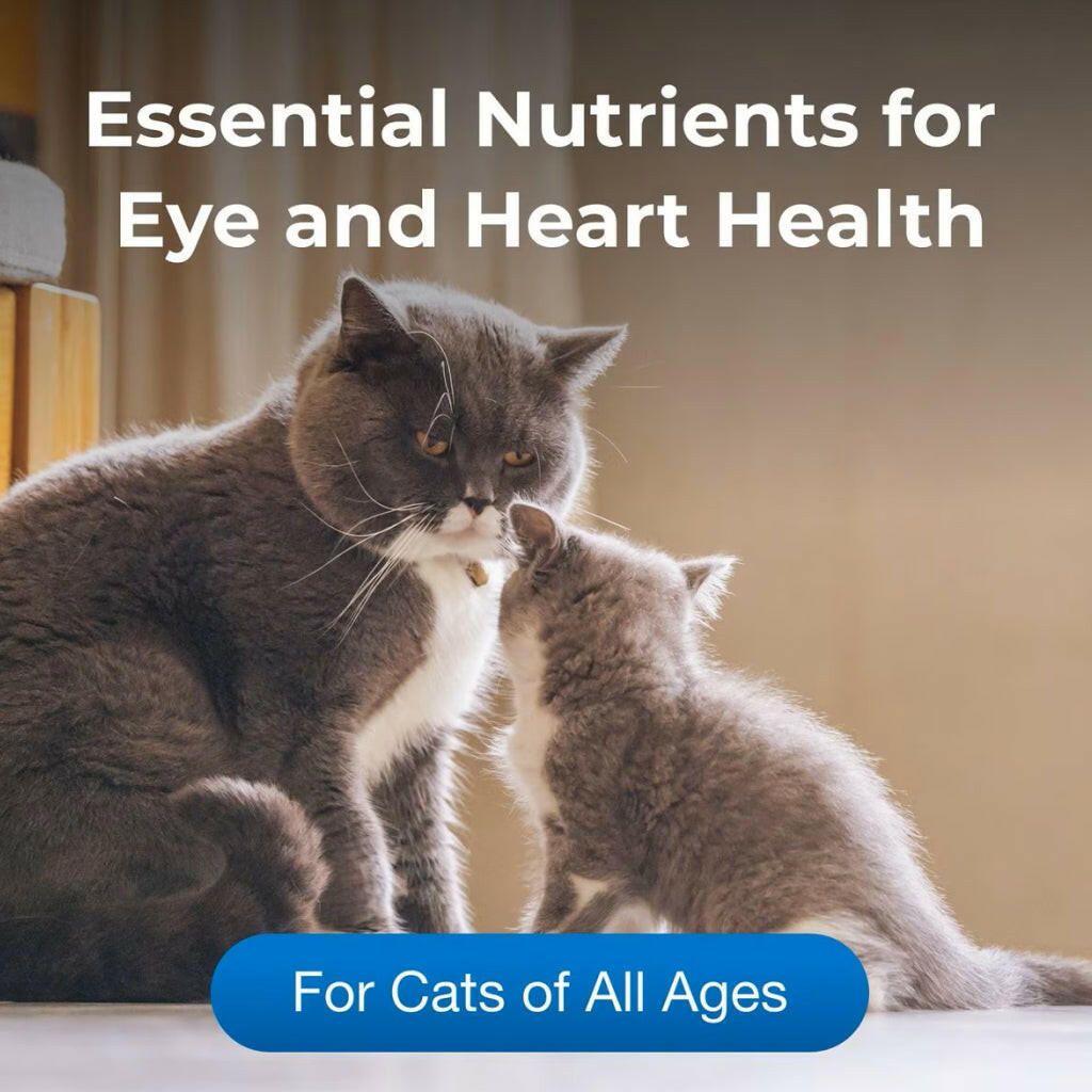 PetAg Taurine Chewable Tablet Supplement for Cats (100 count)