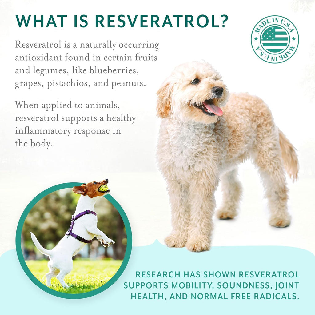 Petthrive Soft Chews with Resveratrol Advance Joint Care for Dogs