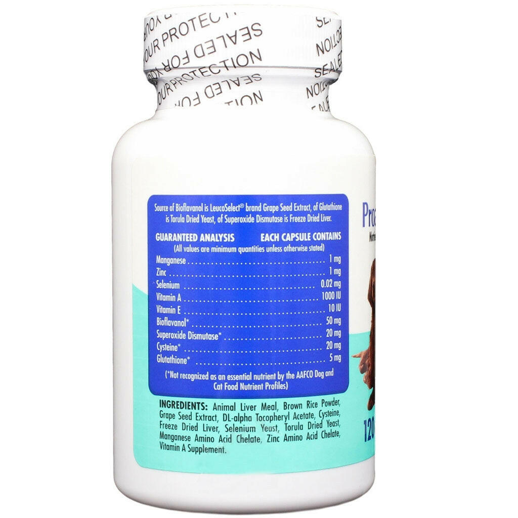 Proanthozone 50 Nutrient & Antioxidant Supplement for Large Dogs 120 capsules