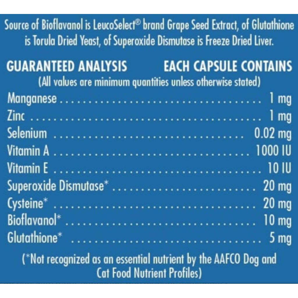 Proanthozone 50 Nutrient & Antioxidant Supplement for Large Dogs 120 capsules