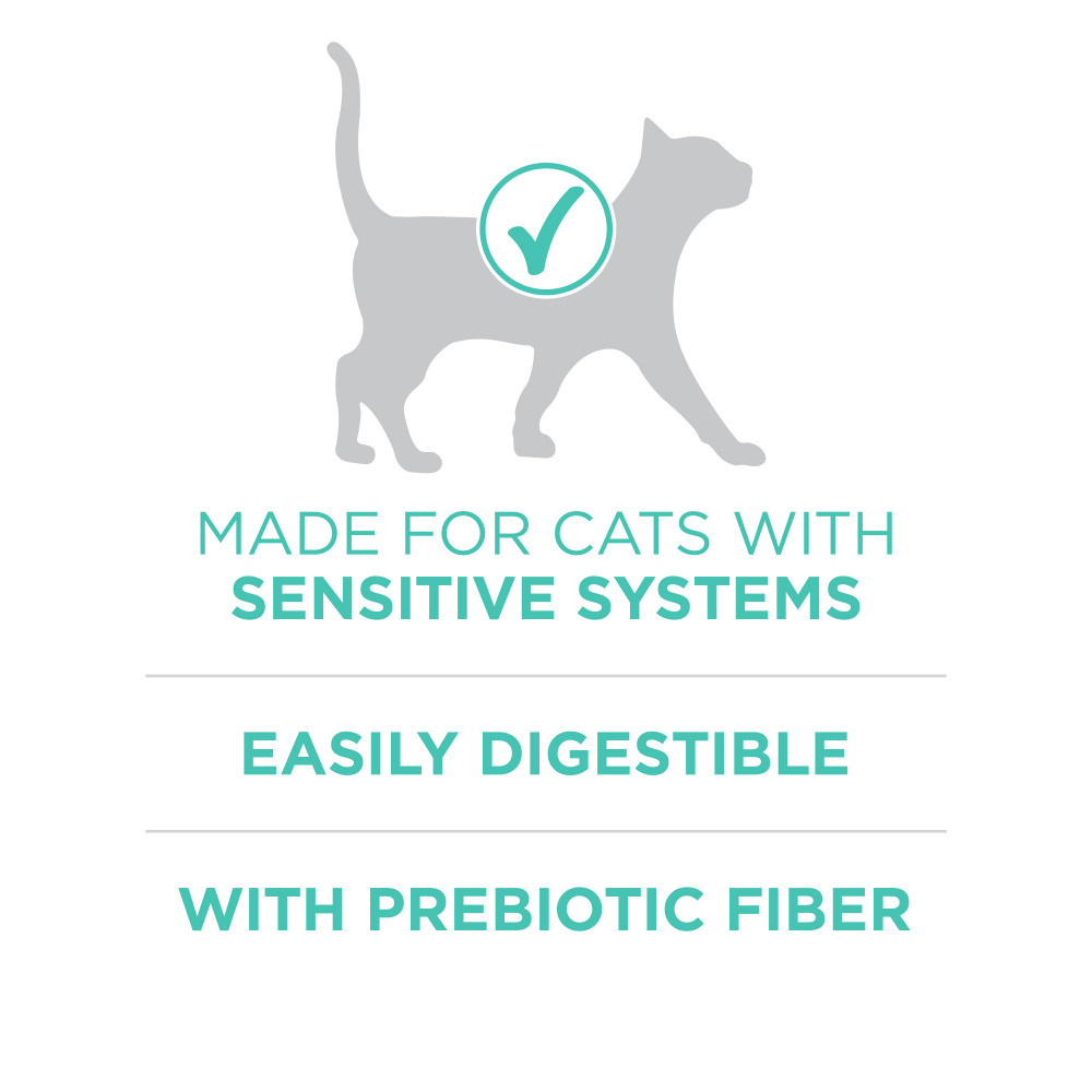 Purina ONE Sensitive Systems Dry Cat Food