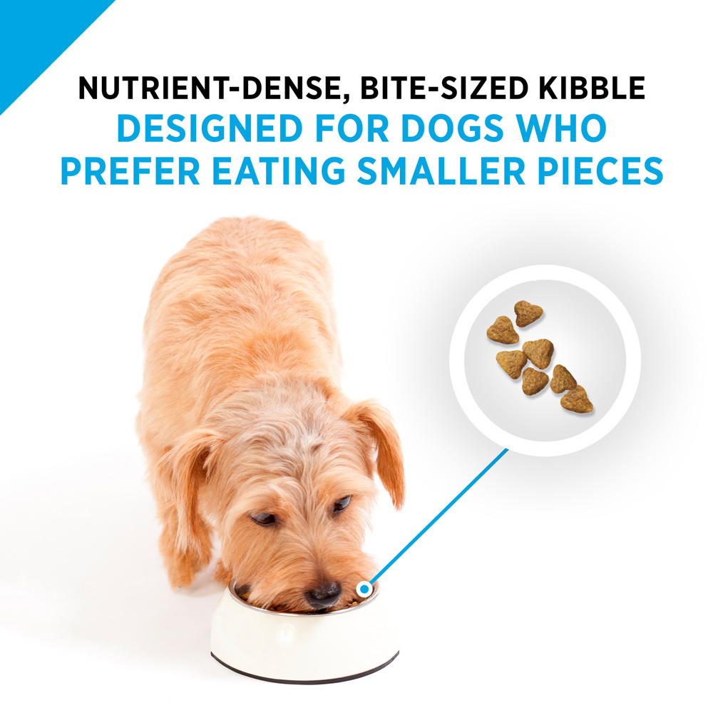 Purina Pro Plan All Life Stages Small Bites 27/17 Lamb & Rice Dry Dog Food, 37.5-lb