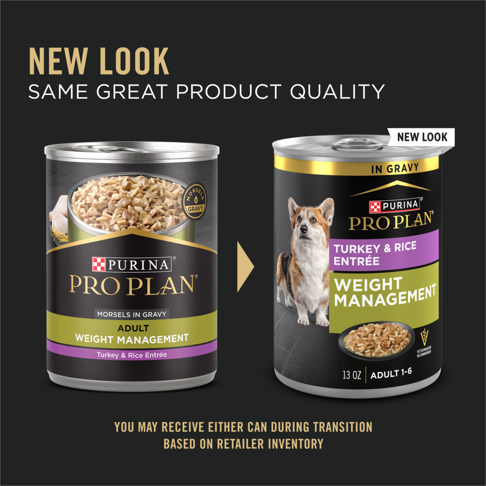 Purina Pro Plan Focus Adult Weight Management Turkey & Rice Entree Canned Dog Food, 13-oz, case of 12