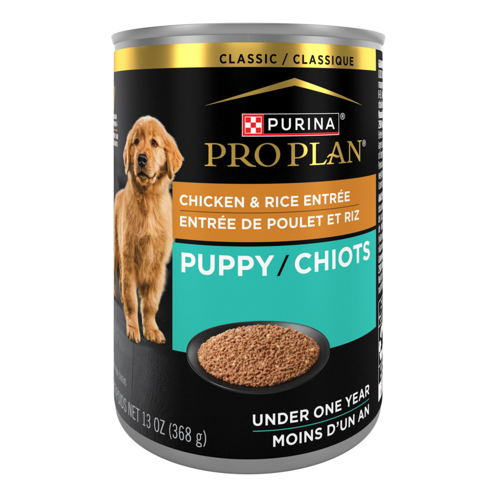 Purina Pro Plan Focus Puppy Chicken & Rice Canned Dog Food, 13-oz, case of 12