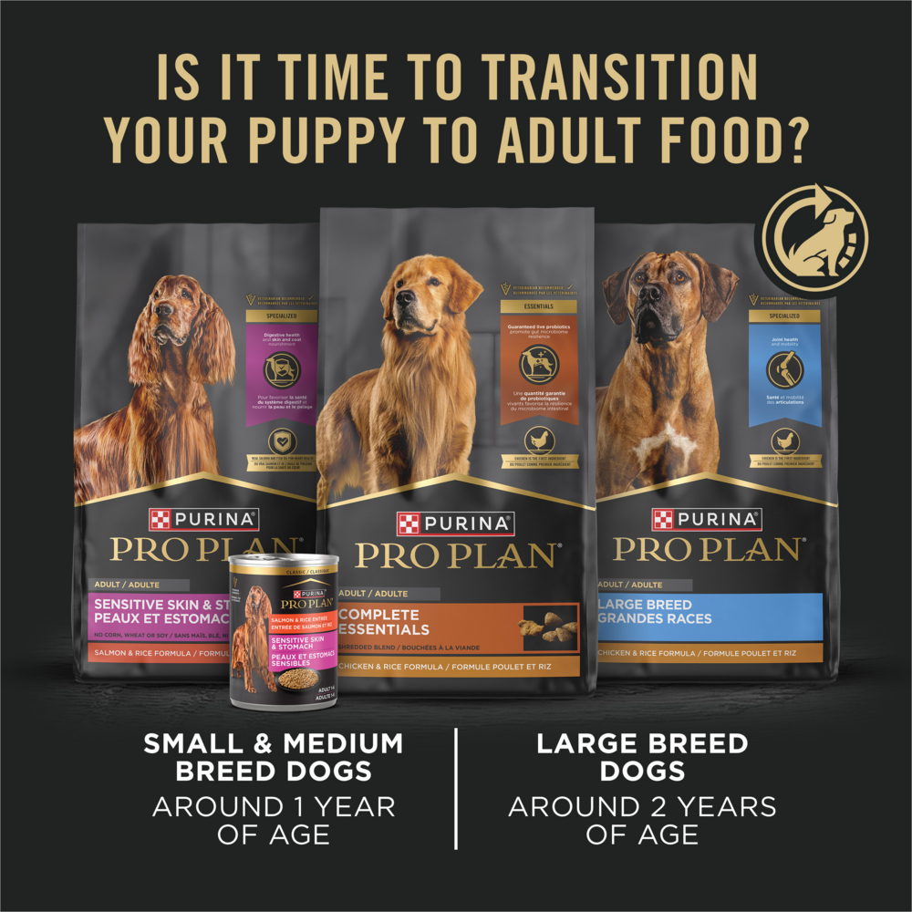 Purina Pro Plan Focus Puppy Chicken & Rice Canned Dog Food, 13-oz, case of 12