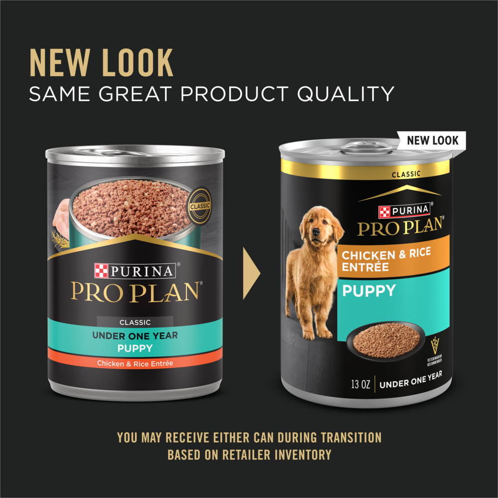 Purina Pro Plan Focus Puppy Chicken & Rice Canned Dog Food, 13-oz, case of 12