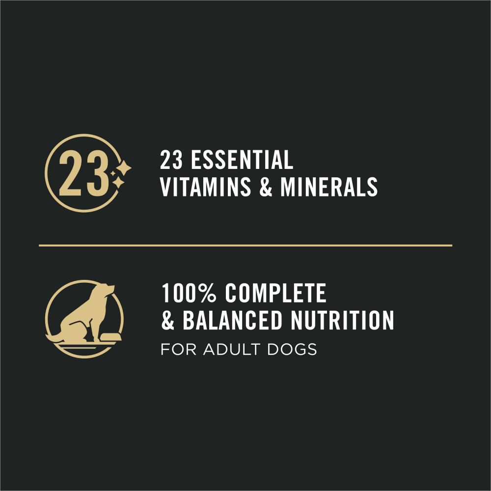 Purina Pro Plan Focus Sensitive Skin & Stomach Salmon & Rice Pate Canned Dog Food, 13-oz, case of 12