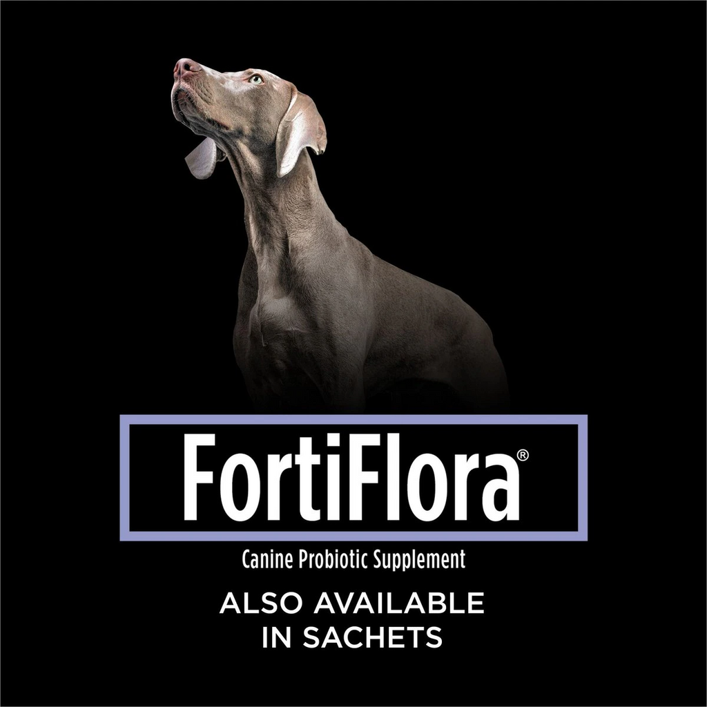 Purina Pro Plan FortiFlora Canine Probiotic Chewable Tablets for Dogs