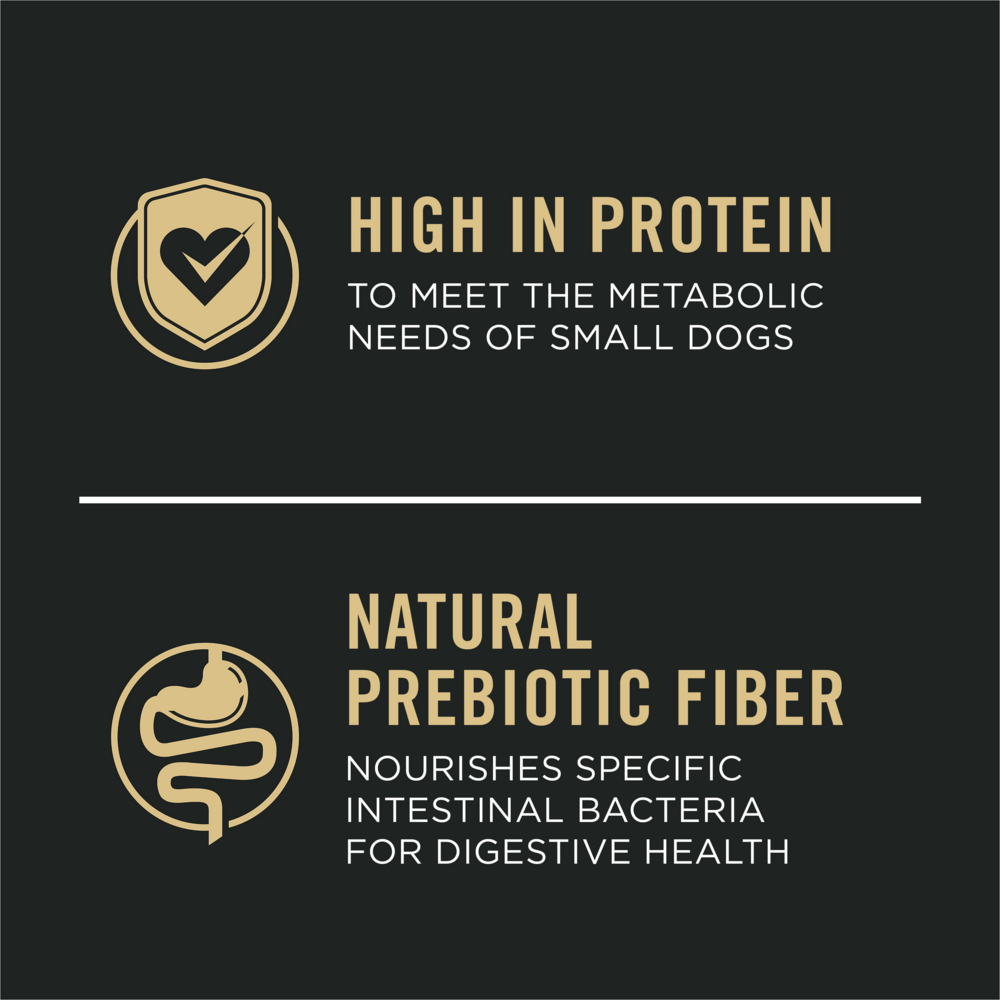 Purina Pro Plan Sensitive Skin & Stomach Small Breed Salmon & Rice Formula Dry Dog Food, 16-lb