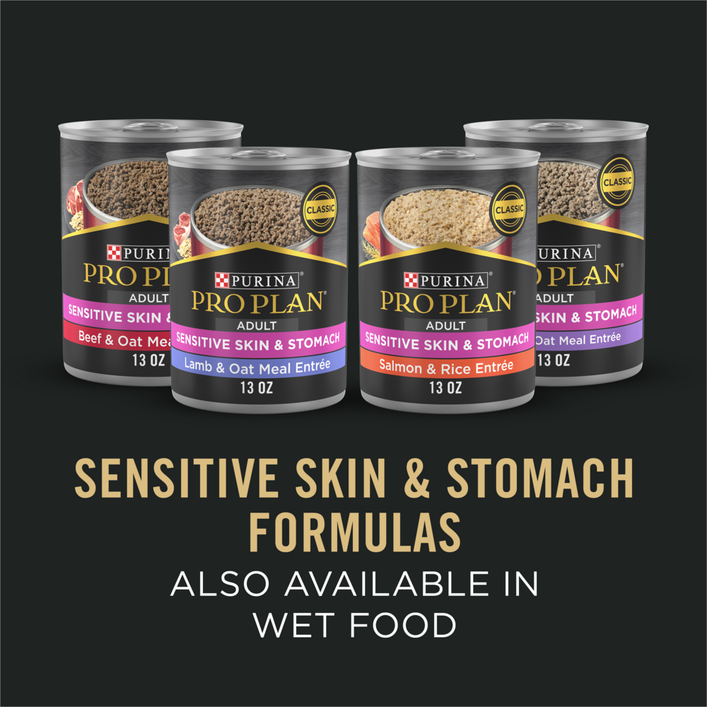 Purina Pro Plan Sensitive Skin & Stomach Small Breed Salmon & Rice Formula Dry Dog Food, 16-lb