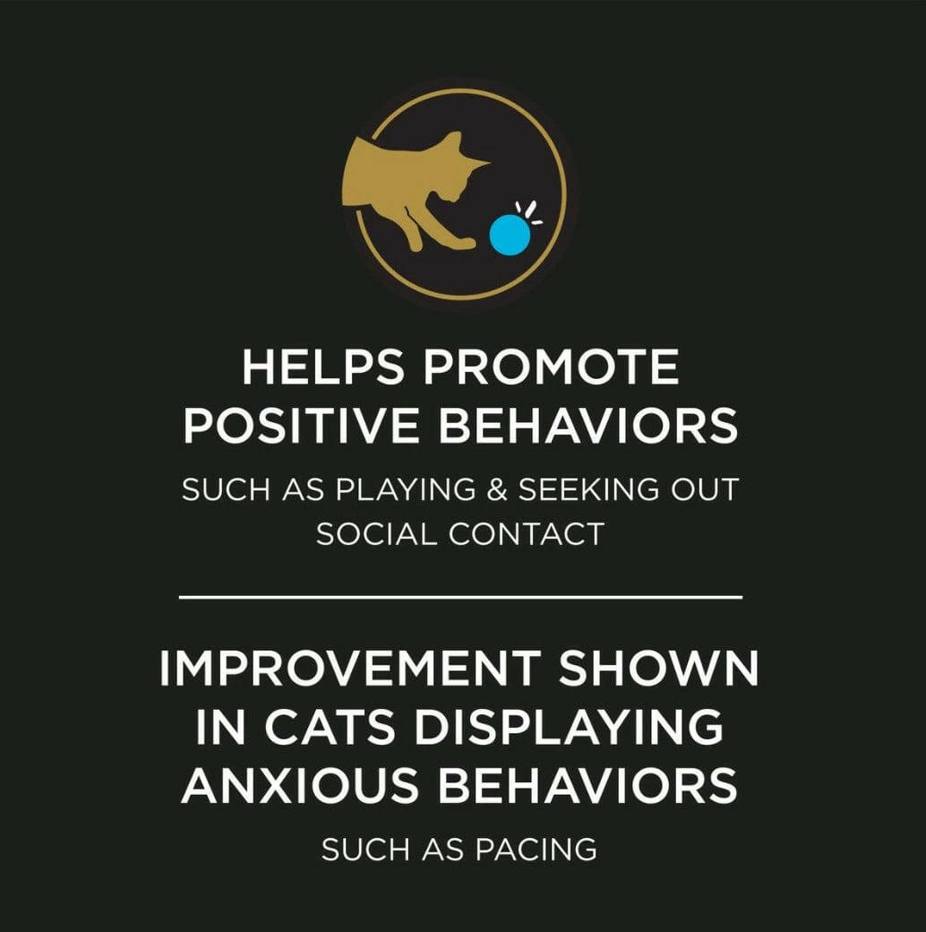 Purina Pro Plan Veterinary Supplements Calming Care for Cats