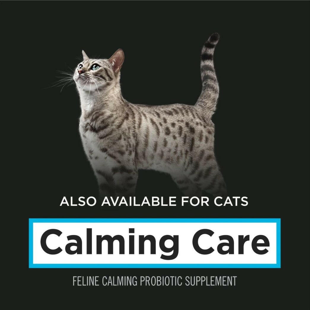 Purina Pro Plan Veterinary Supplements Calming Care Probiotic Powder Supplement for Dogs