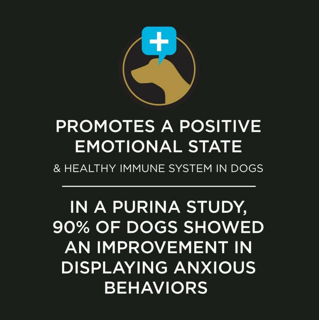 Purina Pro Plan Veterinary Supplements Calming Care Probiotic Powder Supplement for Dogs