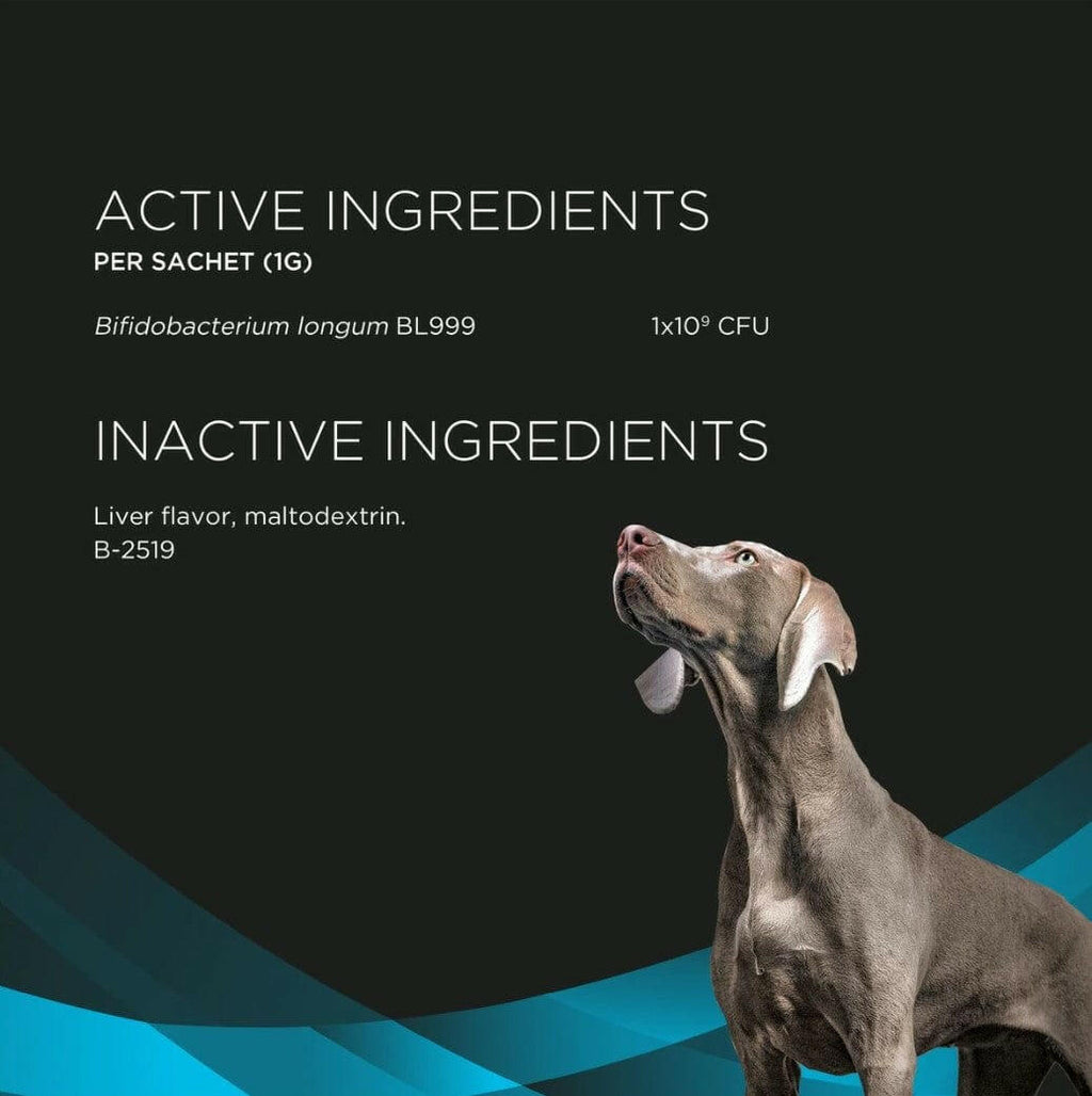 Purina Pro Plan Veterinary Supplements Calming Care Probiotic Powder Supplement for Dogs